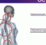 1596952857_osteohondroza.jpg - Ядринская ЦРБ