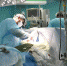 surgery-1280x800 - Знамя Труда