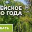 Стартовал международный конкурс «Европейское дерево года – 2022» - Ядринский район