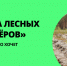 Пройти онлайн-курс по лесному волонтерству и поехать в полевой лагерь - Ядринский район