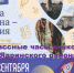 Проект «Разговоры о важном»: очередные классные часы состоялись в школах Ядринского района - Ядринский район