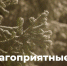 Неблагоприятные погодные условия - Ядринский район