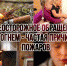 AOzHZtDfA4Ob3XPImFxJXdAIlu5zRHrp - Знамя Труда
