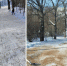 Безымянный2-1-740x559 - Знамя Труда