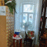 IMG-20240611-WA0002.jpg - Ядринский район