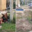 990e7677e4f885e22b6c2f24933dcdec - Знамя Труда