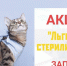 Продолжаются дни льготной кастрации и стерилизации домашних животных - Знамя Труда