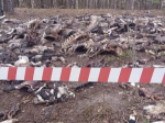 В Чувашии ликвидируют незаконную свалку биологических отходов
