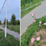867cf1ffaea76fec6033034893cd3ca61569810052336323369.jpg - Знамя Труда