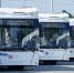 f8ab12ef583d4172be2605c62c36f90c - Знамя Труда