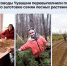 минприроды - Знамя Труда