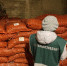 Первая в 2026 году партия лука-севка из Чувашии отгружена в Белоруссию - Знамя Труда