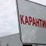 В Батыревском округе введен карантин по пастереллезу - Знамя Труда