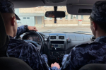 заглушка_ово