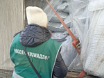 Досмотр